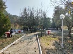 ÇAYYÜZÜ ŞEHİTLERİ UNUTULMADI !
